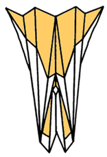 Brooklyn Origami Art Deco Phoenix 13