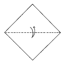 Brooklyn Origami - Simple Kiwi