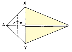 Brooklyn Origami - Simple Kiwi