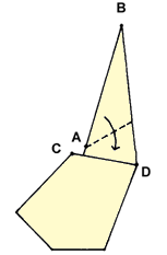 Brooklyn Origami - Simple Kiwi